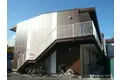 サウスフラワ