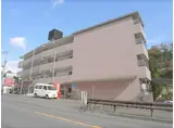 ナイス市原24