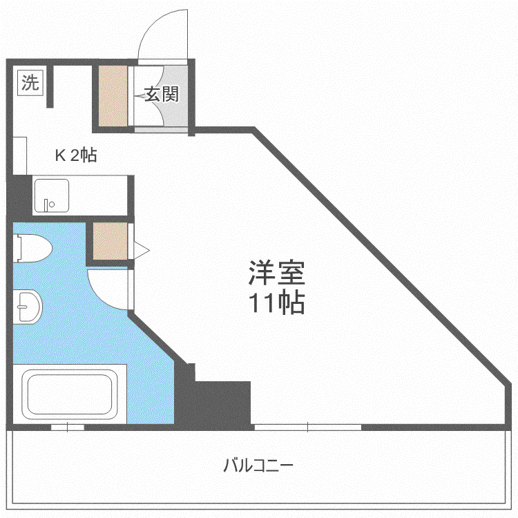 AMSTOWER南6条(1K/5階)の間取り写真