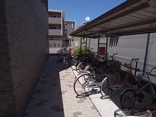 シャンピア