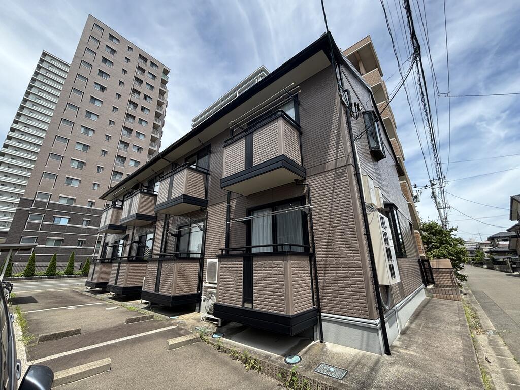 サンフラワーM
