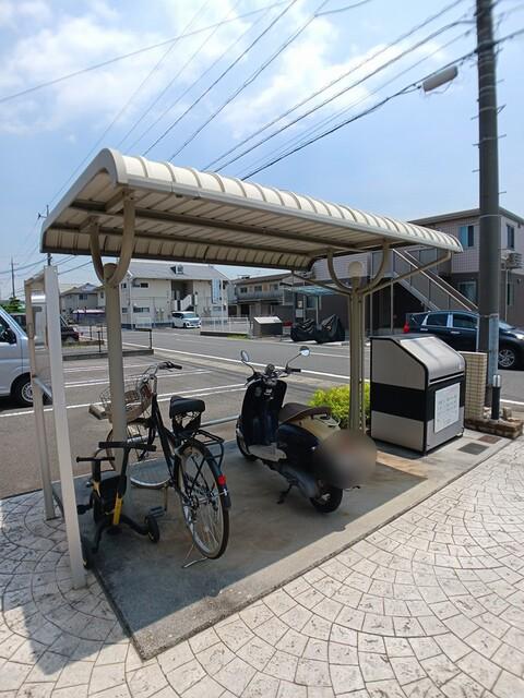 リトルツリーフィールド