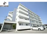 MS AVENUE アルファ PLUS