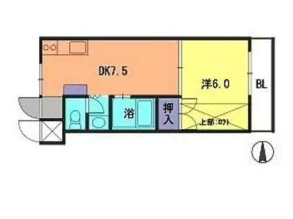 サンピア今宿(1DK/1階)の間取り写真