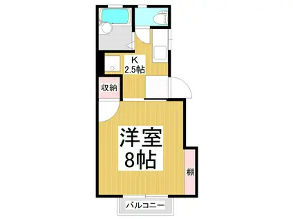 アーバンKOYAMA III(1K/1階)の間取り写真