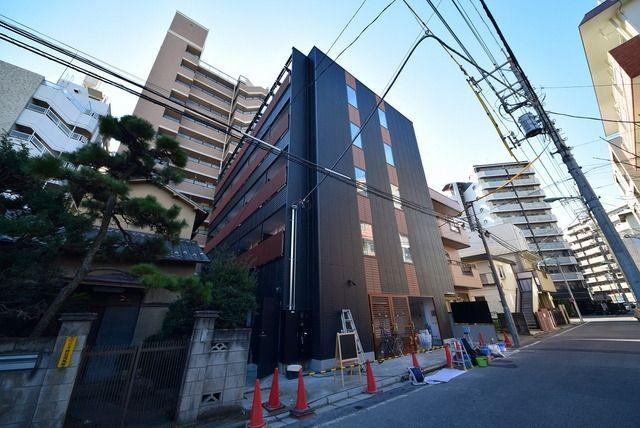CROSS COURT NAMIKI