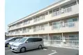 セルアーモ並木