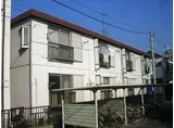 パインコート21