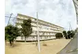 西小中台団地11号棟