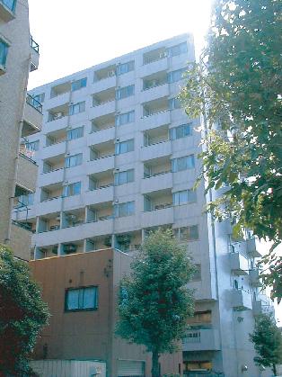 ライツ菊川(1LDK/9階)