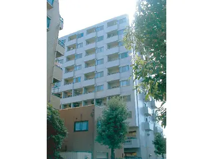 ライツ菊川(1LDK/10階)の外観写真