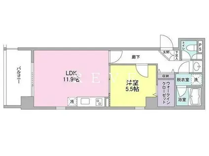 マグノリアコート(1LDK/3階)の間取り写真