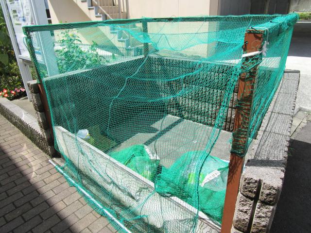 レオネクストクレイン
