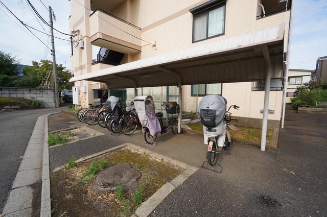 エントピア・ナミマ