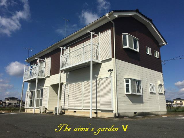 アイムズガーデンV