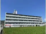 ウイングス北平野