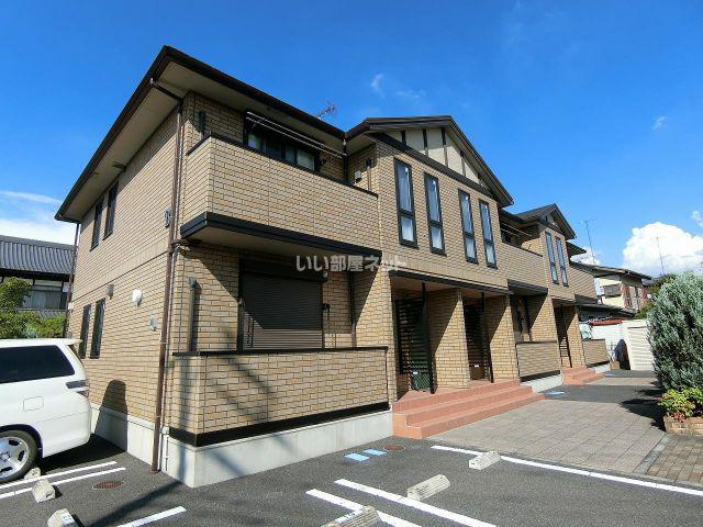 イエローアイリスB