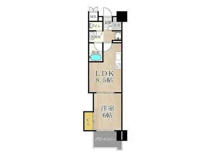 マスターズレジデンス道頓堀III(1LDK/4階)の間取り写真