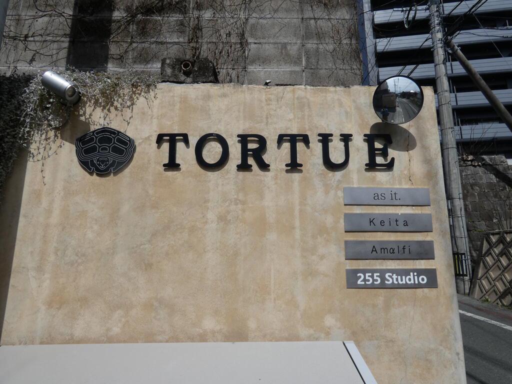 TORTUE