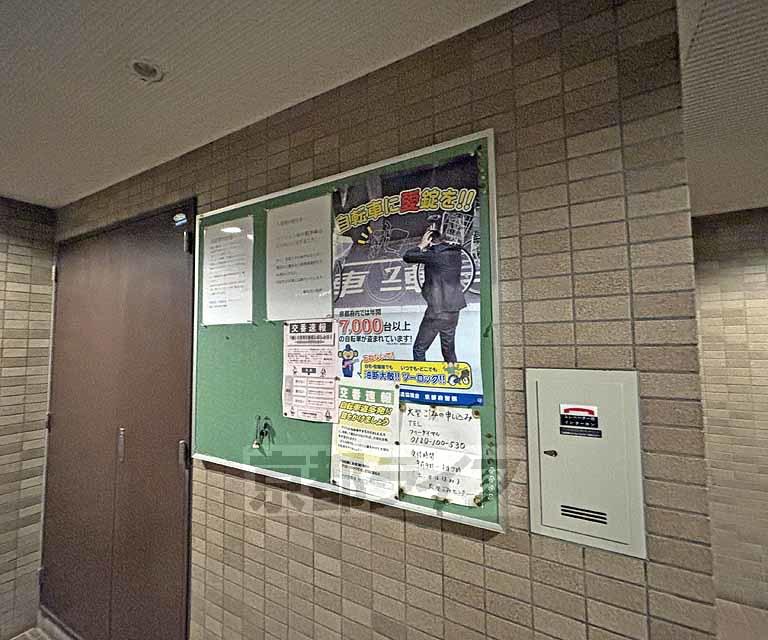 ボンネール葵