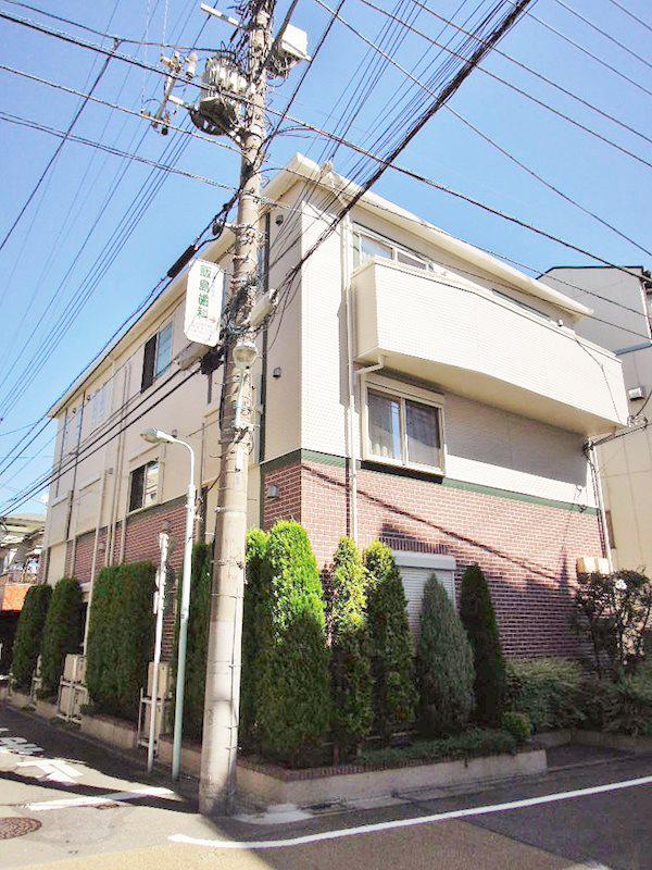 オリーブ
