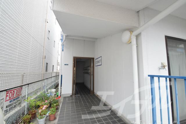 コスモセブン