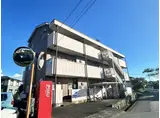 シャラぽわ