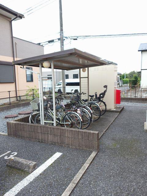 ウィル プランドール