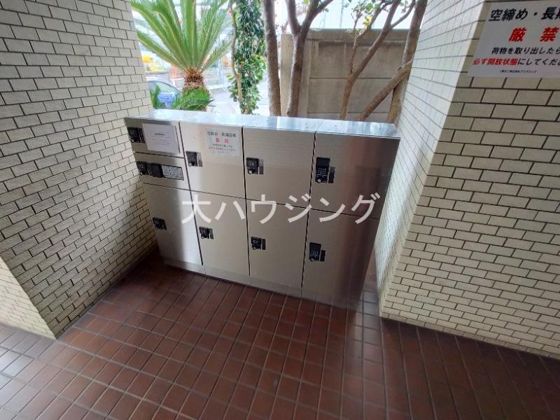 山王ハマセイホウ