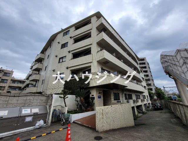 山王ハマセイホウ