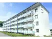 ビレッジハウス春光2号棟(3LDK/4階)