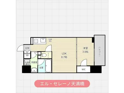 エル・セレーノ天満橋(1LDK/6階)の間取り写真