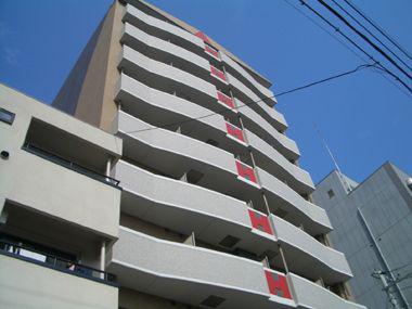 WILLDO市岡