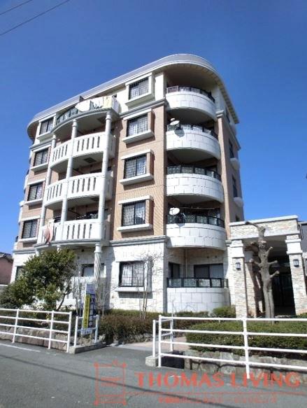 カンフォーロ藤木