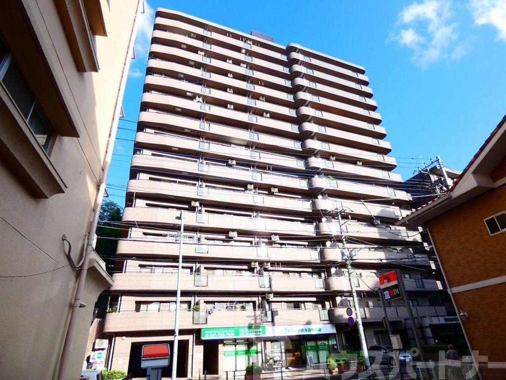 ライオンズプラザ松戸中央公園(3LDK/12階)