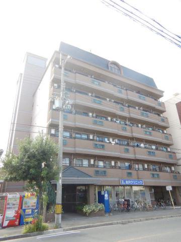 IVY FLAT