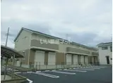 サニーヒル イシイ A