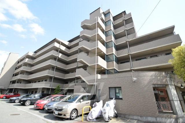 ルアン緑地