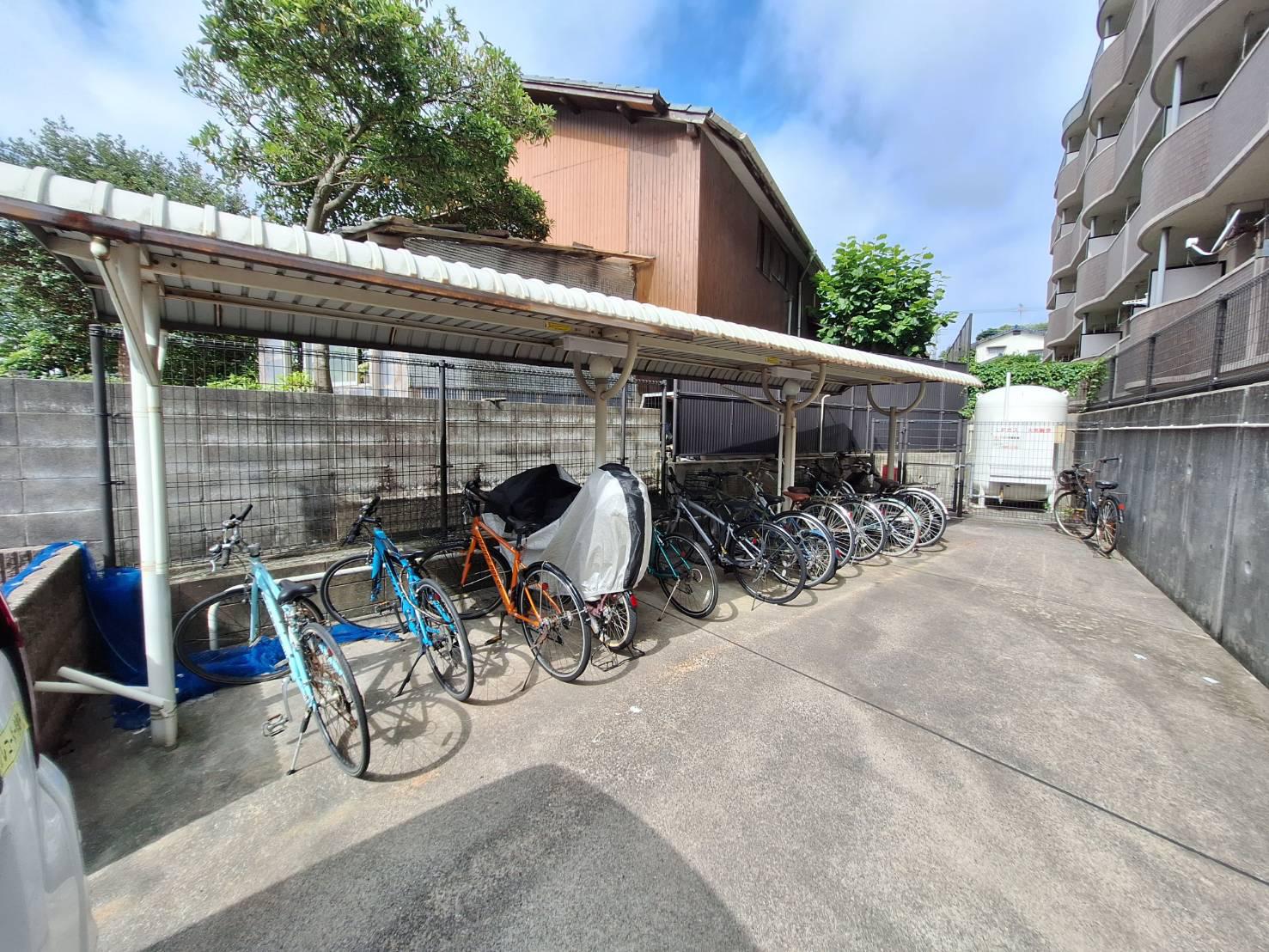 アビタシオン花の樹