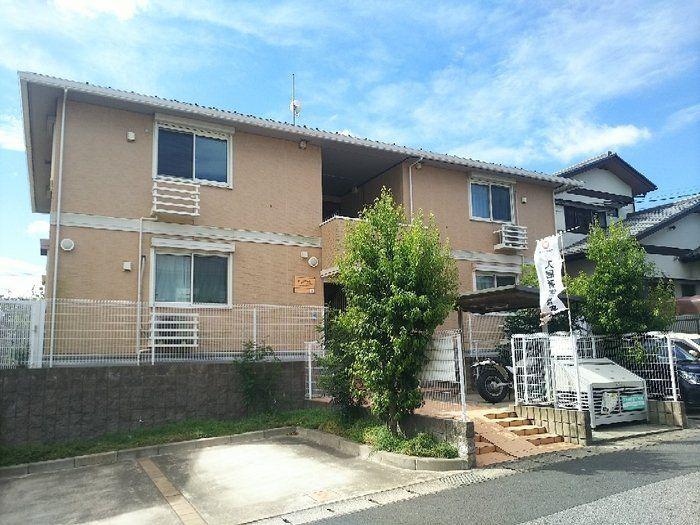 やまぼうし
