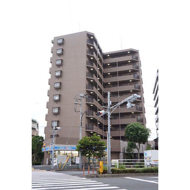 サンフラワー第6