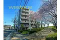 ハイム静