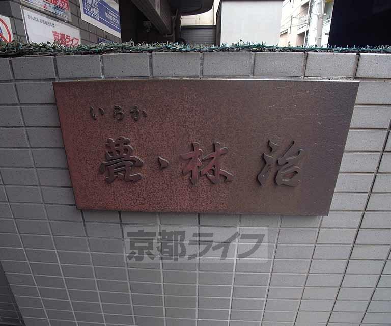 甍・林治