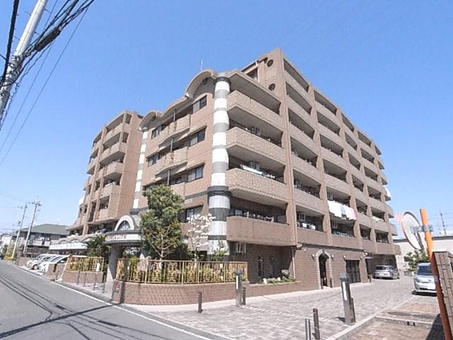 パールメガリス