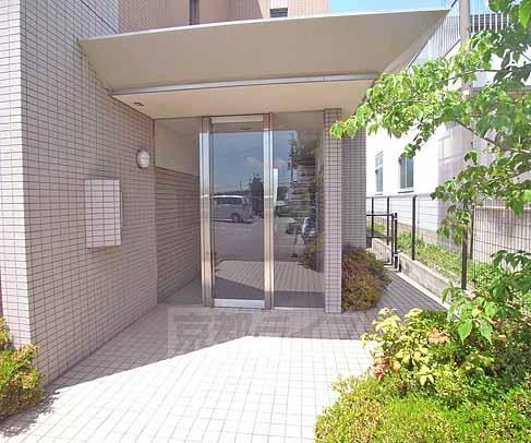 ルミナスヨシ