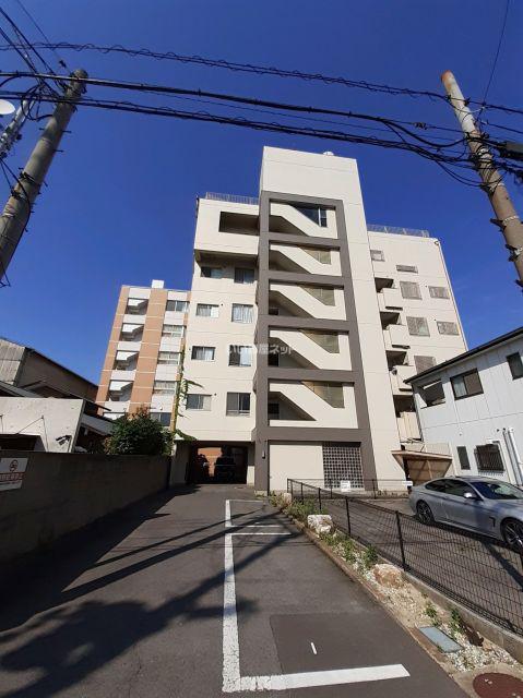 LUMIUS MATSUMOTO