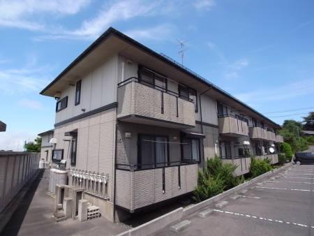 ハイカムール鷹清水