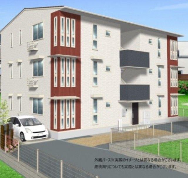 TMSコート