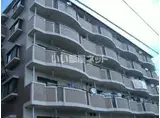 サンライズ横井