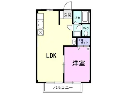 アミニティグリーンII(1LDK/1階)の間取り写真